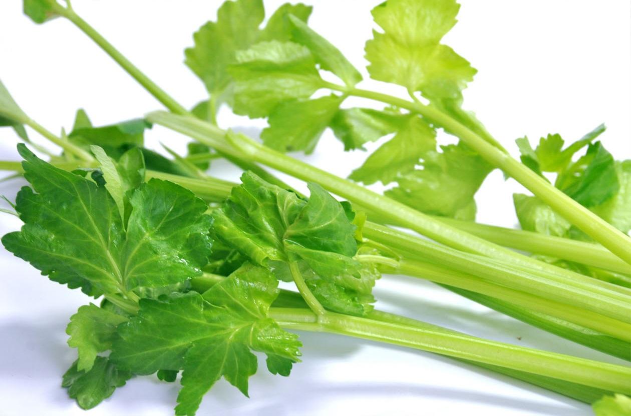 蔬菜是個(gè)寶，這些部位也更好！