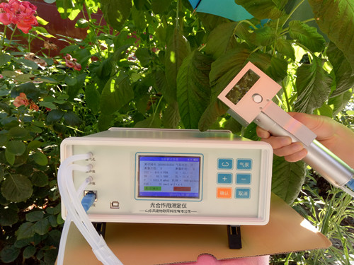 植物氣孔針有何應(yīng)用？