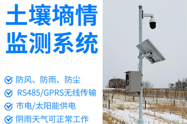 土壤墑情監(jiān)測系統技術參數