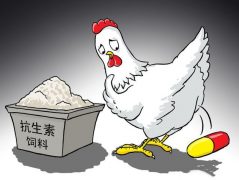 食品抗生素層出不窮，如何檢測(cè)？